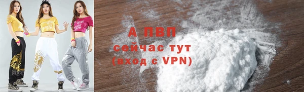 spice Ладушкин