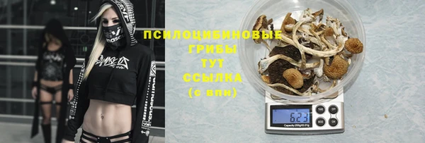 spice Ладушкин