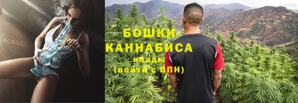 шишки Лиски