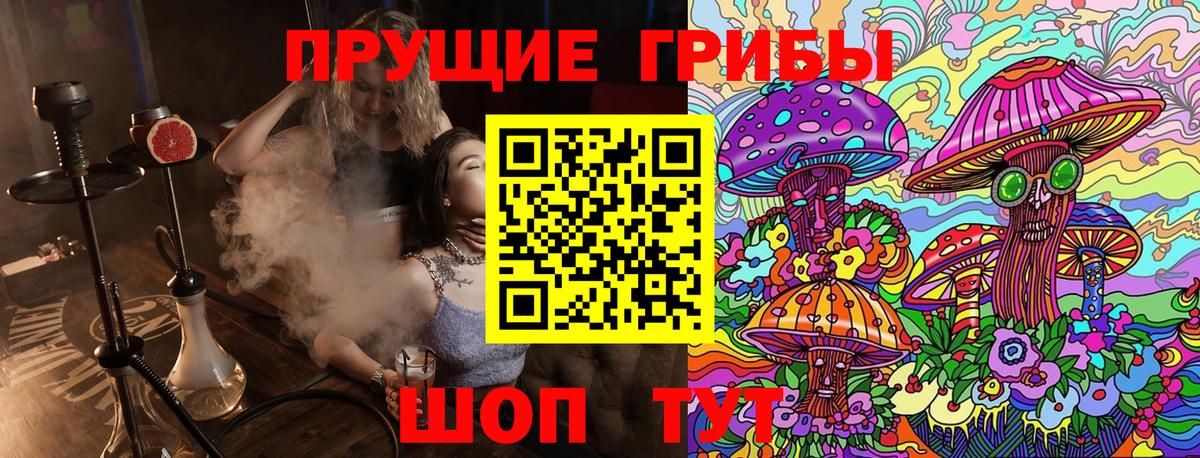 Псилоцибиновые грибы прущие грибы Михайловка