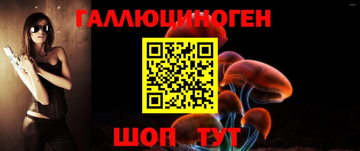 Михайловка  купить закладку  Вход с VPN  Псилоцибиновые грибы мицелий 